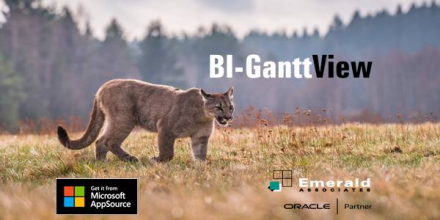 Easily Sort Your Activities Using a WBS Hierarchy in Emerald BI-GanttView